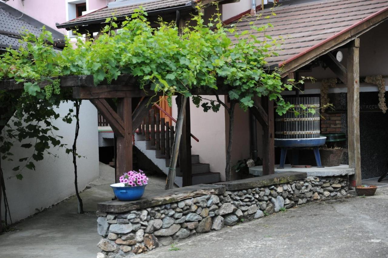 Wellness B&B Winery Sontacchi Gotó Kültér fotó