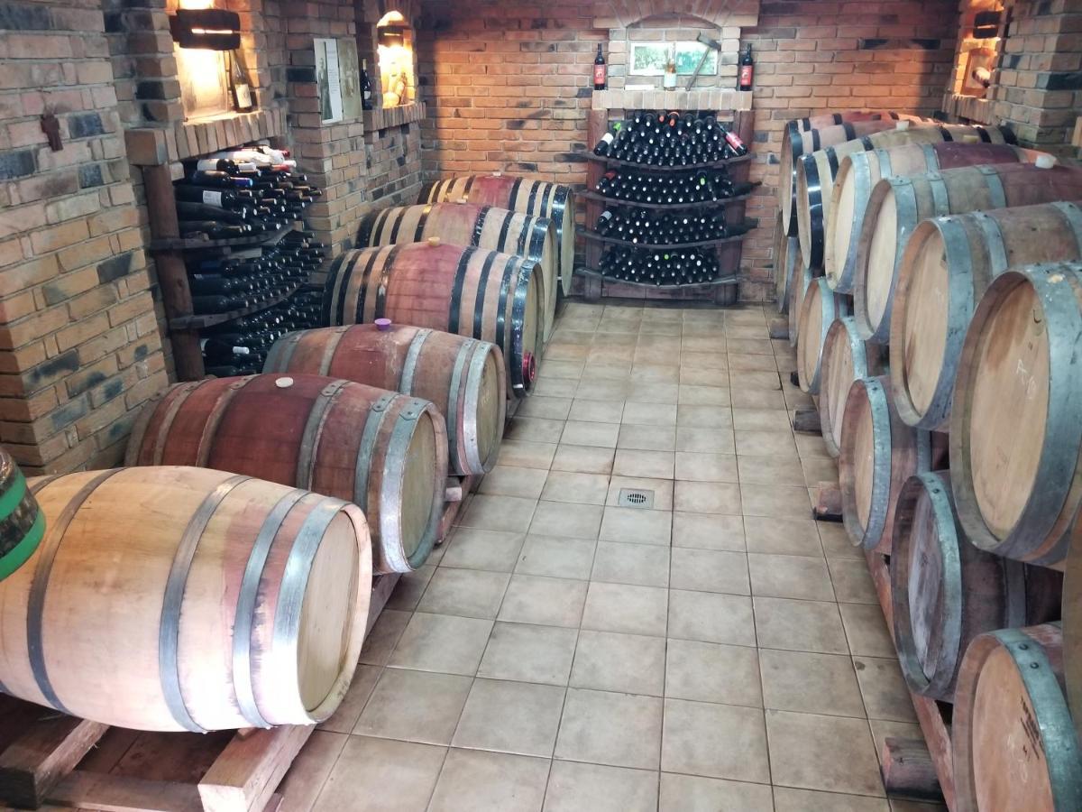 Wellness B&B Winery Sontacchi Gotó Kültér fotó